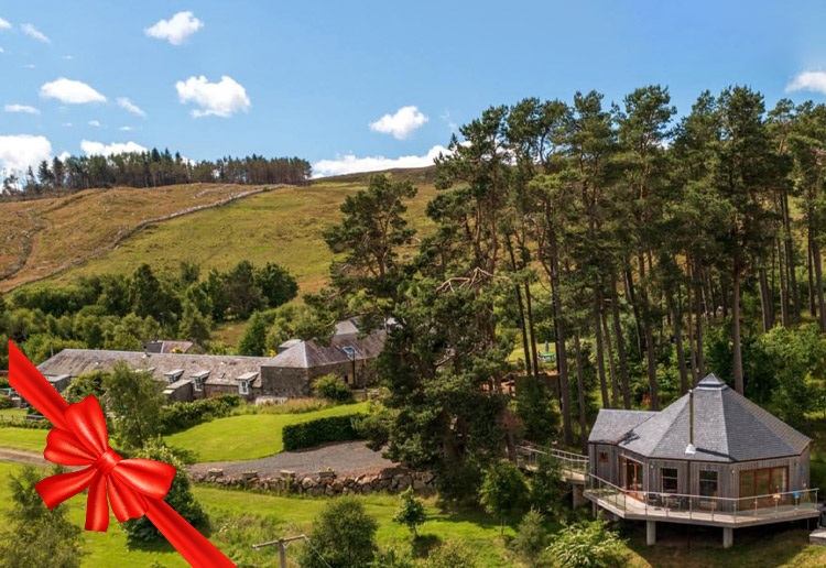 Dalnoid Cottages & Treehouses